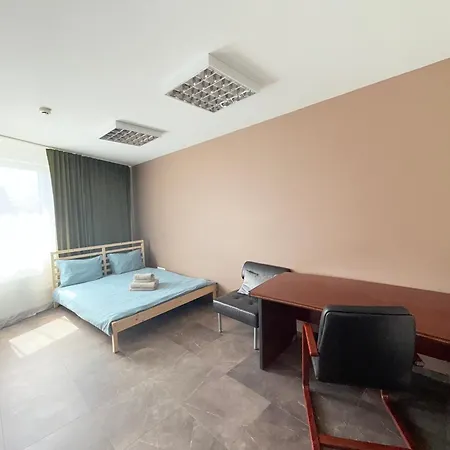 公寓 Seliu 29 维尔纽斯