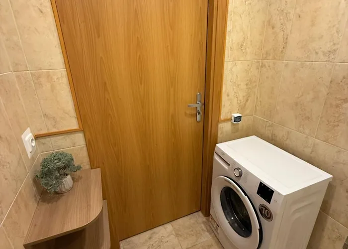 Seliu 29 Apartamento Vilna